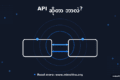 cover-11-api